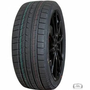 Gopro EV-ICE 245/35 R19 93V XL
