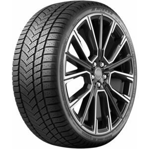 Winrun Winter-MAX A1 WR22 205/55 R16 91H