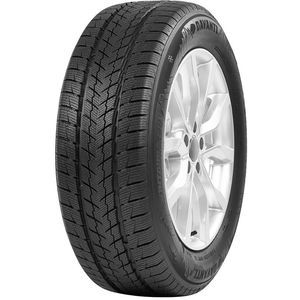 Davanti Wintoura SUV Davanti Wintoura SUV 235/55 R19 105V
