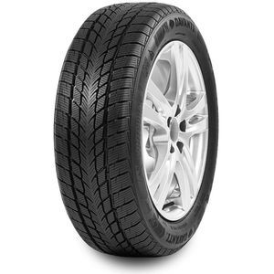 Davanti Wintoura 165/70 R14 81T