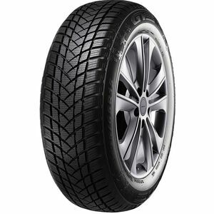 GT-Radial Winterpro 2 EVO GT-Radial Winterpro 2 EVO 165/65 R14 79T
