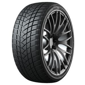 GT-Radial Winterpro 2 Sport 215/60 R17 96H